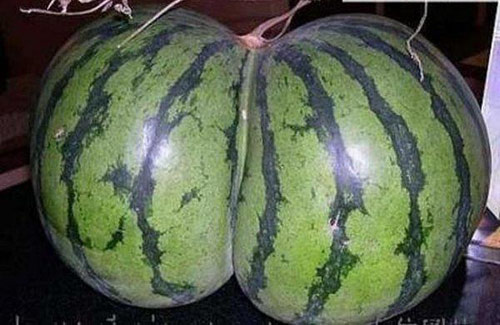 Đỏ mặt với các loại củ, quả sexy - 4