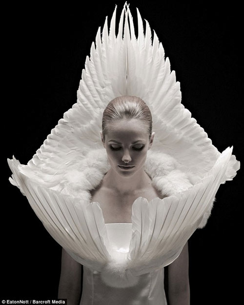 Kinh dị váy cưới làm từ xác chết - 1