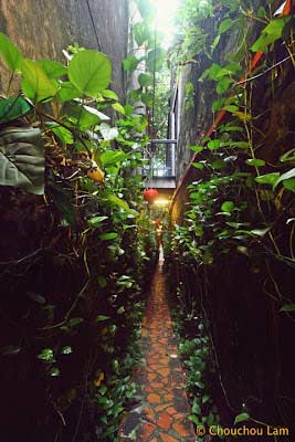 20 điều thú vị nên thử ở Malacca - 3