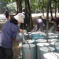 Thị trường - Tiêu dùng - Xuất khẩu cao su có thể đạt kỷ lục