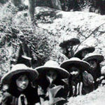 Chuyện nhà ông Nguyễn Vinh Phúc