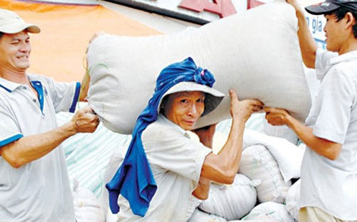 Xuất khẩu gạo sắp phá kỷ lục năm 2011 - 1