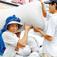 Thị trường - Tiêu dùng - Xuất khẩu gạo sắp phá kỷ lục năm 2011