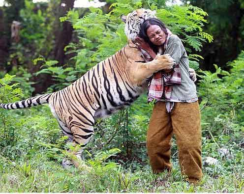 Indonesia: Rợn người chàng trai đùa với… hổ - 2