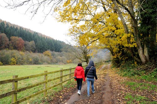 Vẻ đẹp xứ Wales một ngày cuối thu - 4