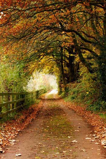 Vẻ đẹp xứ Wales một ngày cuối thu - 7