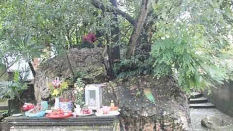 Những kho báu truyền kiếp bí ẩn ở VN - 1