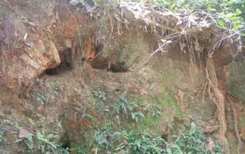 Những kho báu truyền kiếp bí ẩn ở VN - 2