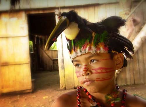 Ngao du khắp chốn ở rừng già Amazon (Phần 1) - 14