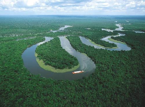 Ngao du khắp chốn ở rừng già Amazon (Phần 2) - 8