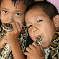 Phi thường - kỳ quặc - Ngôi làng người và rắn là "bạn thân"