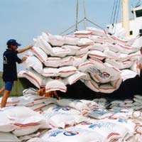 Thị trường - Tiêu dùng - Nhiều hợp đồng xuất khẩu gạo bị hủy