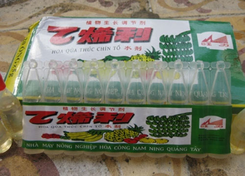 Mít non chín thơm nhờ tiêm thuốc? - 2