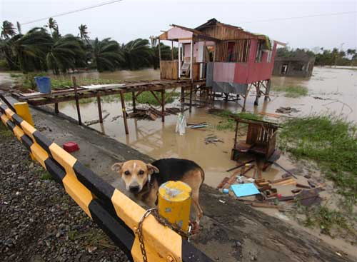 Chùm ảnh: Siêu bão Bopha tàn phá Philippines - 5