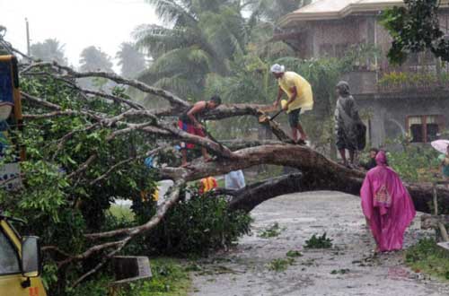 Chùm ảnh: Siêu bão Bopha tàn phá Philippines - 8