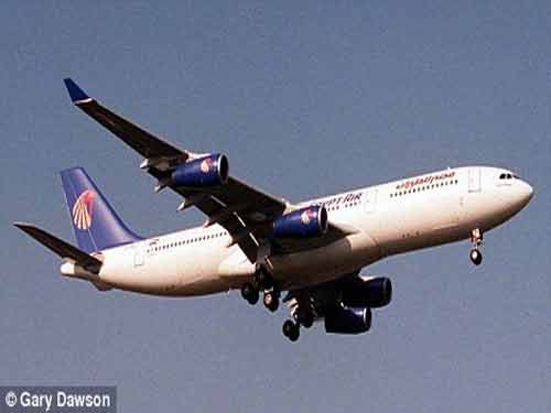 Ai Cập: Máy bay hạ cánh khẩn vì rắn cắn khách - 1