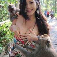 Nhạc chế: Một năm thi thố buồn - 11