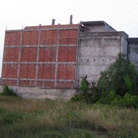 Tin tức trong ngày - Nuôi yến: Canh bạc chim trời