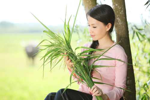 Cẩm Ly dịu dàng nón lá, áo bà ba - 4