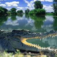 Du lịch - Những bãi biển cực nguy hiểm trên hành tinh