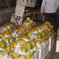 Sức khỏe đời sống - Rùng mình với công nghệ làm quả chín mọng