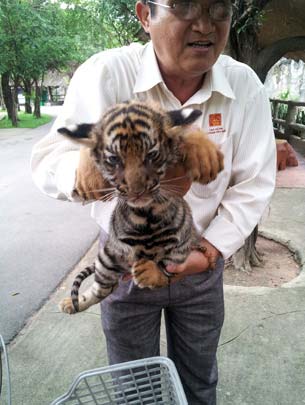 Nhập thú hiếm: Chuyện không phải ai cũng biết - 2