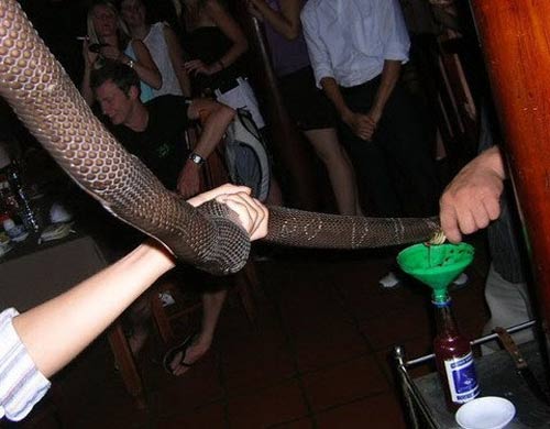 10 "thần dược cường dương" của đại gia Việt? - 2