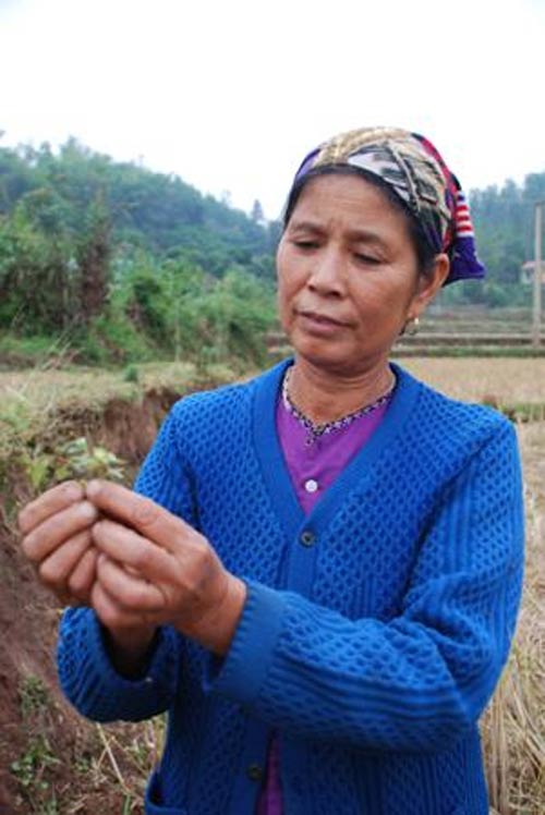 Bí mật về bài thuốc chữa bệnh mở khóa đầu - 2