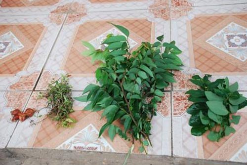 Bí mật về bài thuốc chữa bệnh mở khóa đầu - 3