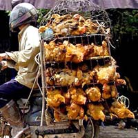 Sức khỏe đời sống - Ăn gà thải Trung Quốc có thể làm đột biến gen