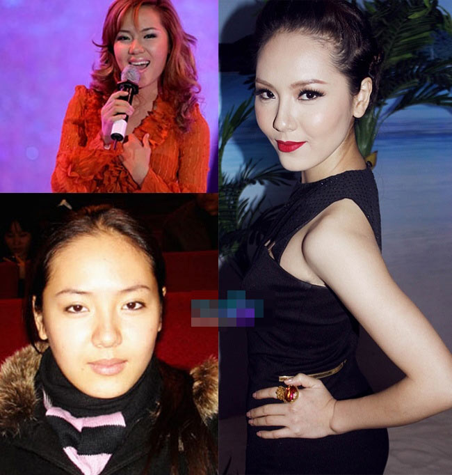 Những cánh mũi đáng ao ước của sao Việt - 9