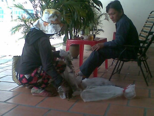 Rao bán rắn độc giữa phố - 5