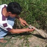 Tin tức trong ngày - Run sợ sống chung với &quot;tử thần&quot;