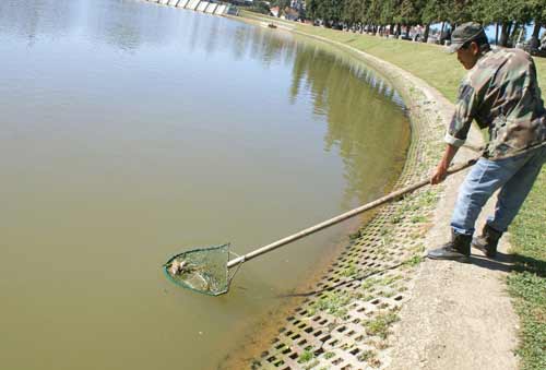 Đà Lạt: Lại xuất hiện “vết dầu loang” trên hồ - 2