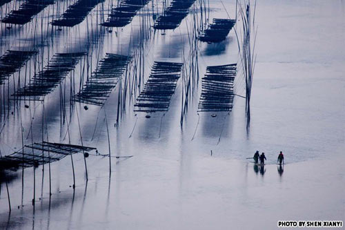 Chiêm ngưỡng cảnh đẹp mê hồn của Trung Quốc (Phần 1) - 4