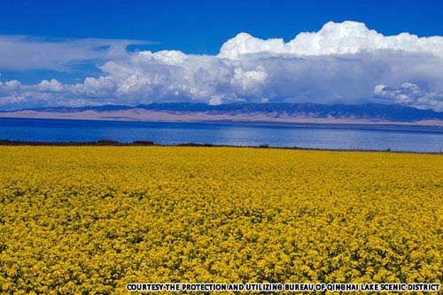 Chiêm ngưỡng cảnh đẹp mê hồn của Trung Quốc (Phần 2) - 15