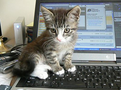 9 xu hướng công nghệ của năm 2013 - 6