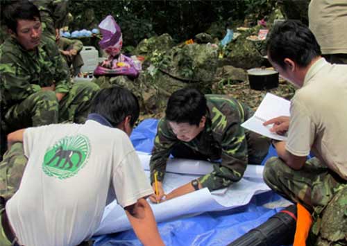 Vượn Cao Vít tại Việt Nam gia tăng số lượng - 2