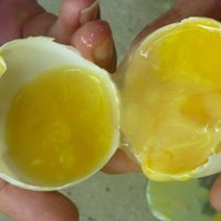Sự thật về trứng ung chữa rối loạn cương dương
