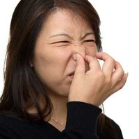 Tin tức trong ngày - Nghề độc đáo nhất thế giới