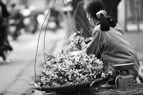 Mía ướp hoa bưởi - tìm lại hương xưa - 4