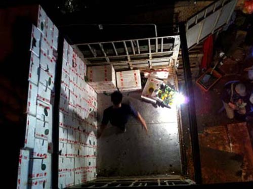 Vạch mặt quýt nhỏ “siêu ngọt” gắn mác Thái - 2