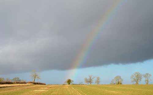 Những hình ảnh ấn tượng nhất tuần (9/12-15/12) - 12