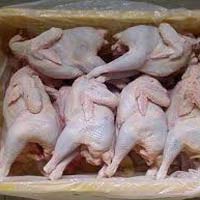 Thị trường - Tiêu dùng - Lại 'đổ' 15 triệu đô vào gà dai Hàn Quốc