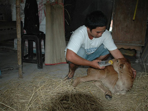 10 sinh vật lạ phát hiện tại Việt Nam 2012 - 4