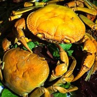 Ẩm thực - Ăn cua đá miền sơn cước
