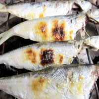 Ẩm thực - Thơm lừng cá trích nướng ngày mưa
