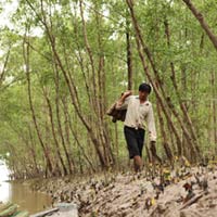 Thị trường - Tiêu dùng - Nuôi trồng thủy sản cũng phải đóng phí