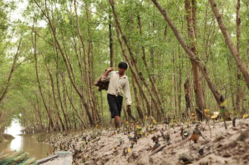 Nuôi trồng thủy sản cũng phải đóng phí - 1