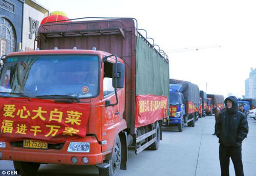 TQ: Hàng trăm người đổ xô nhận cải bắp bỏ đi - 5